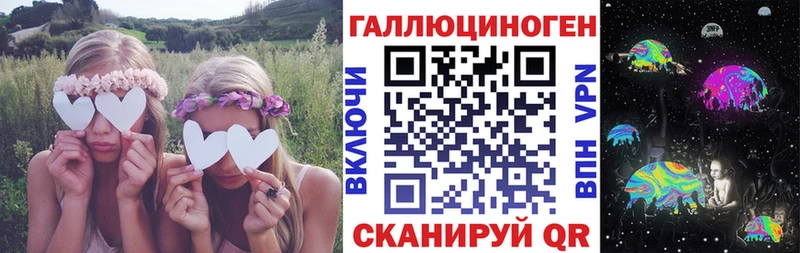 где купить   Курчатов  Псилоцибиновые грибы Psilocybine cubensis 