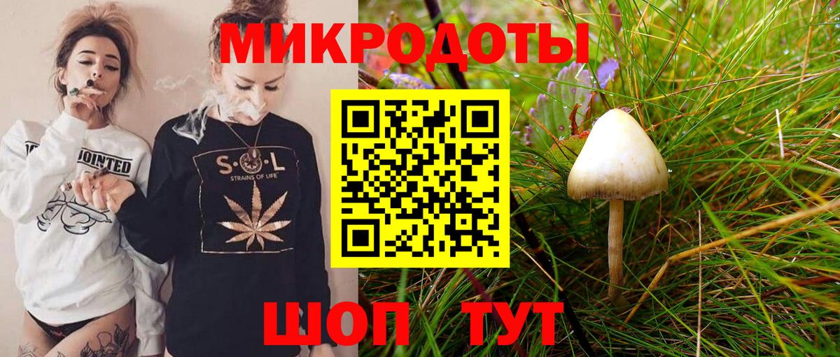 Псилоцибиновые грибы мицелий Курчатов